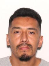 Additional Photo of PETER  ALVAREZ 1